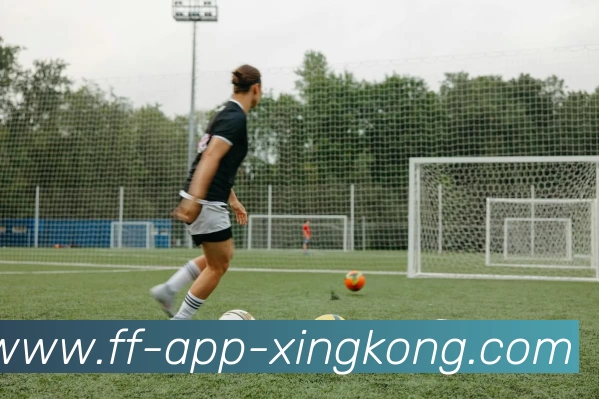 星空体育官网平台生态图