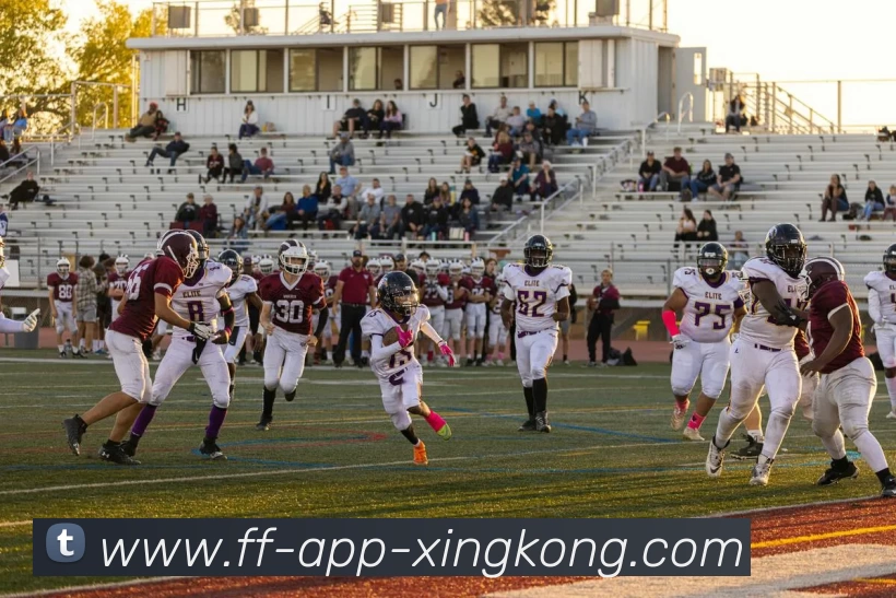 星空体育官网APP 封面图